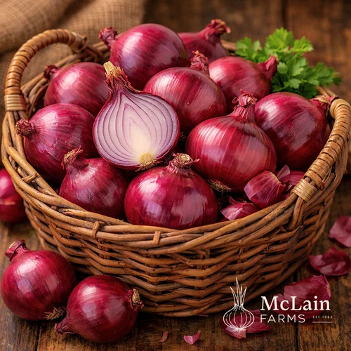 Fresh Onions in Bags