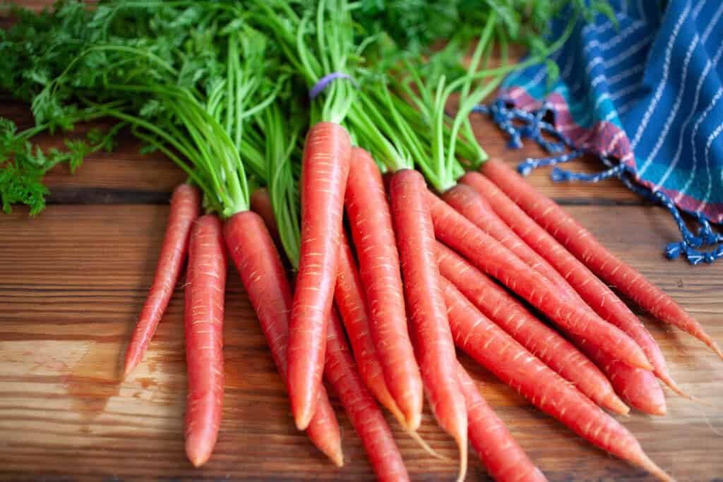 Fresh Carrots from Kinangop